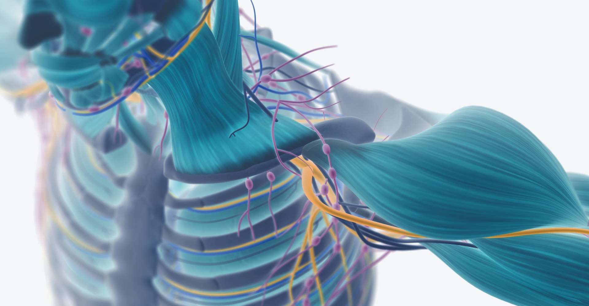 Neuromusculoskeletal Rehabilitation Research Center